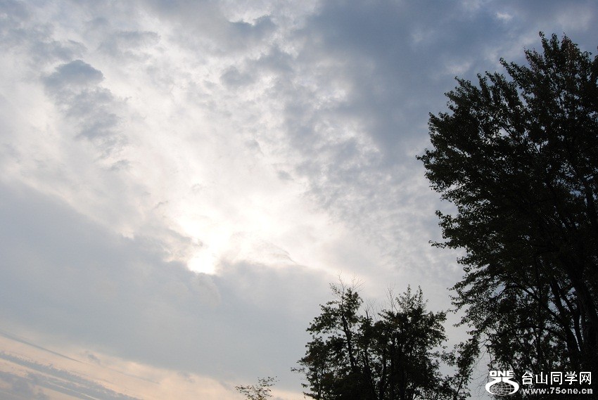 DSC_6760.JPG