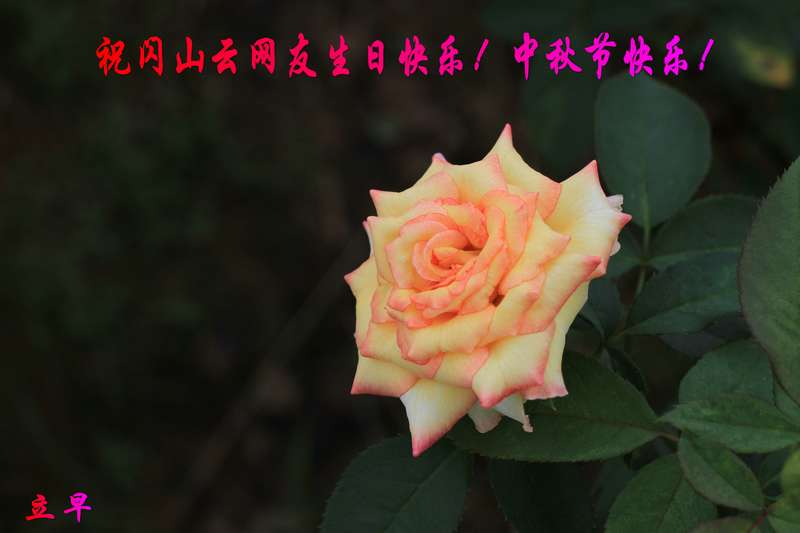 IMG_2646_.JPG