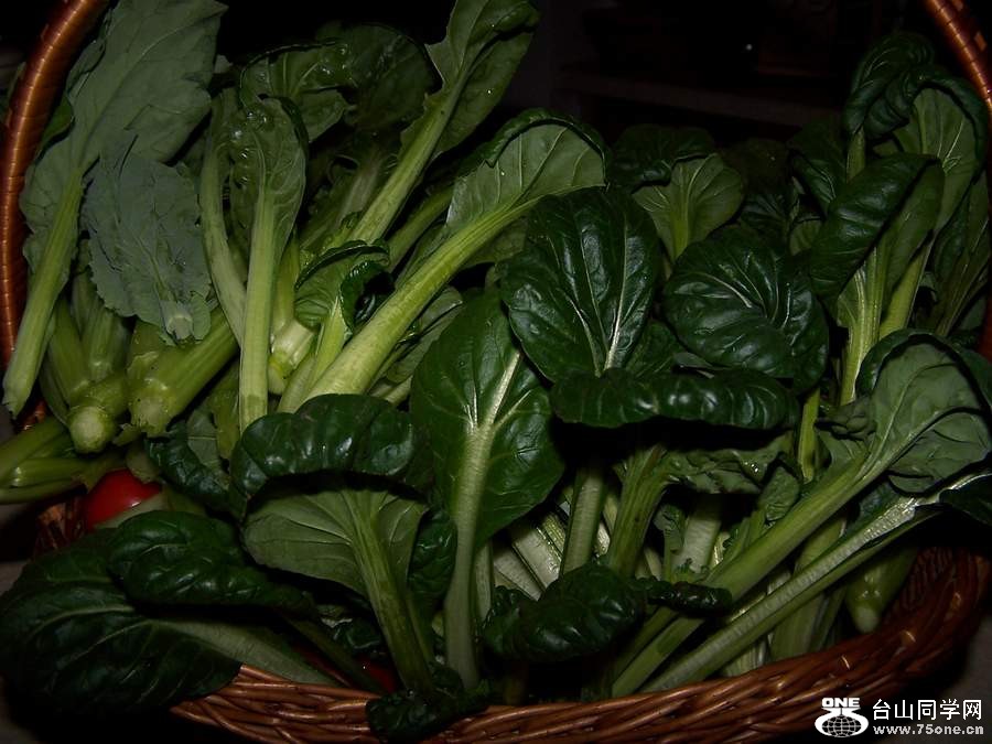 2010 989.jpg