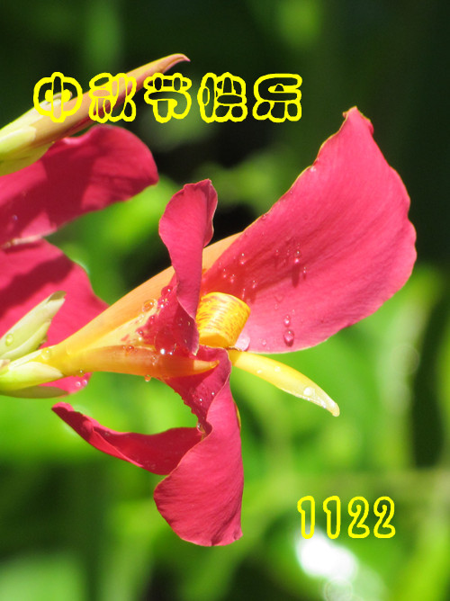 IMG_7806_12.jpg