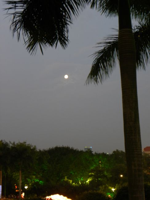 DSCN4288.JPG