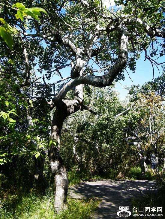 DSCF7943=.jpg