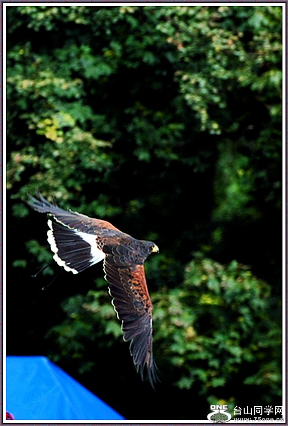 dsc_3068a.jpg