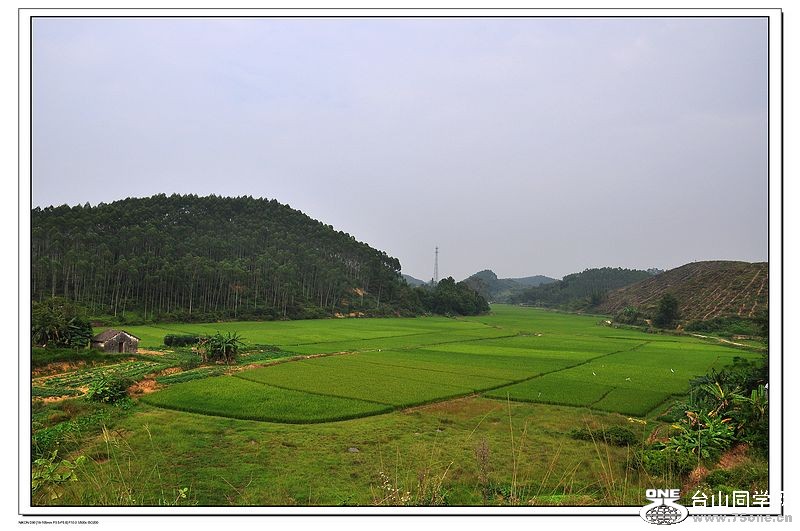 DSC_0107.jpg