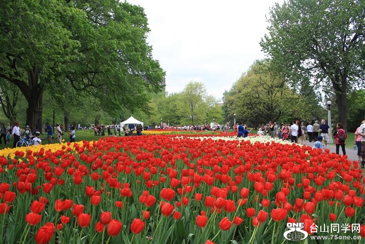 IMG_0391 (Small).JPG