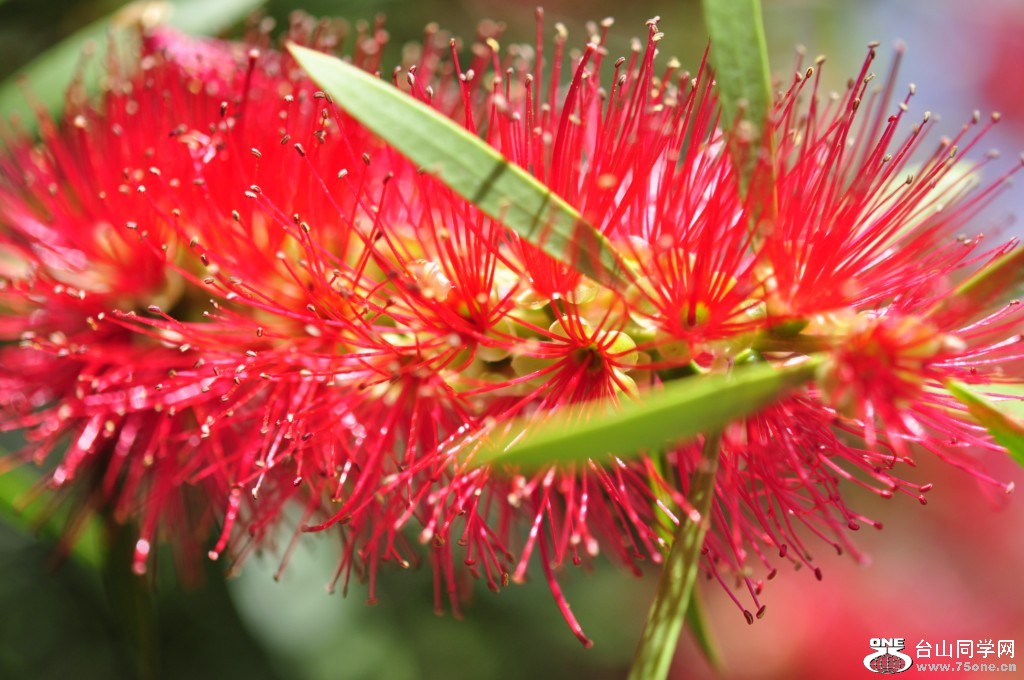 _DSC0330 [1024x768].JPG