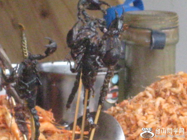 IMG_7568.JPG