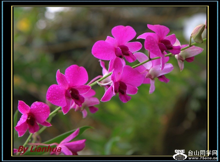 IMG_3956-2.jpg