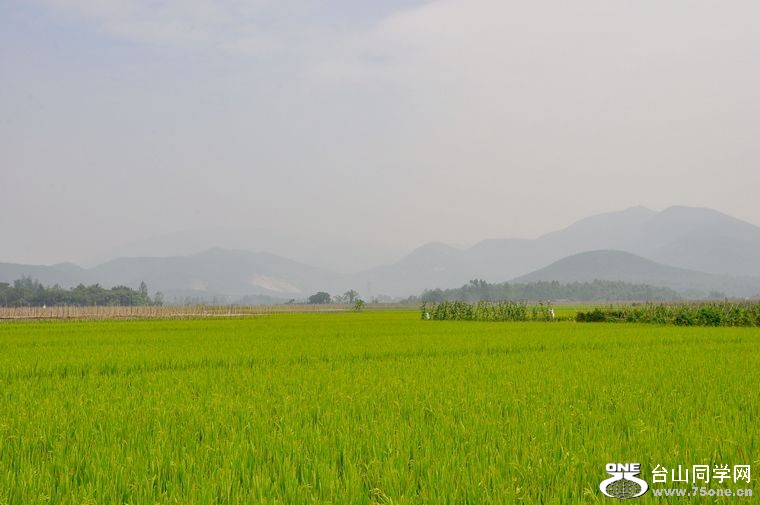 DSC_0085.JPG