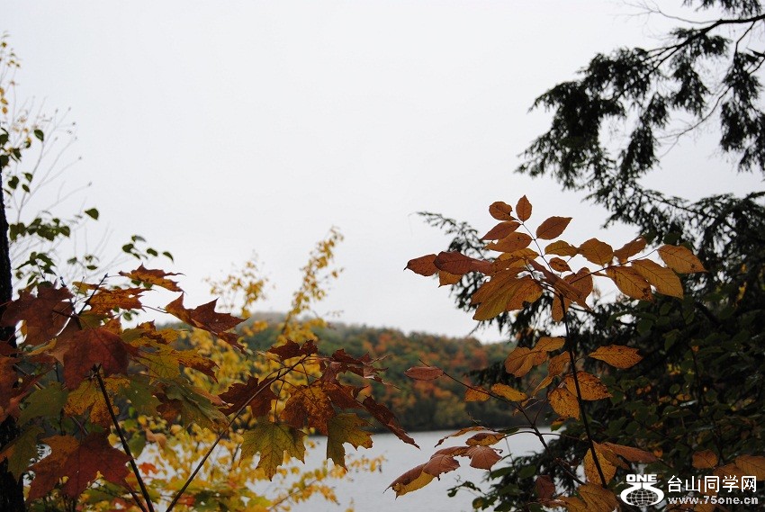 DSC_7852.JPG