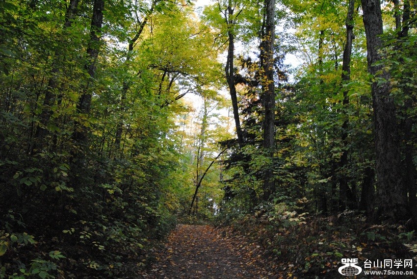DSC_7772.JPG