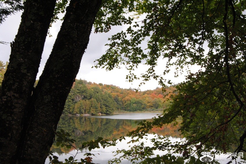 DSC_7776.JPG