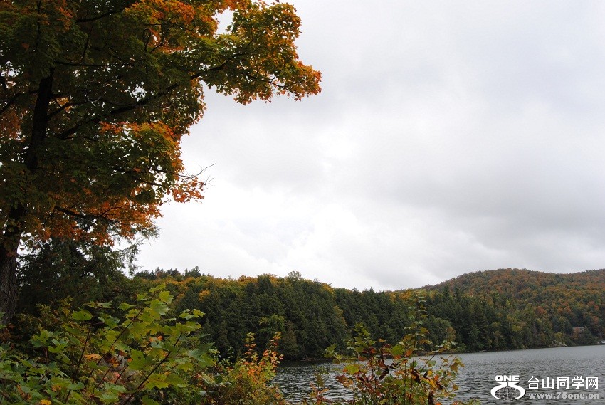 DSC_7770.JPG