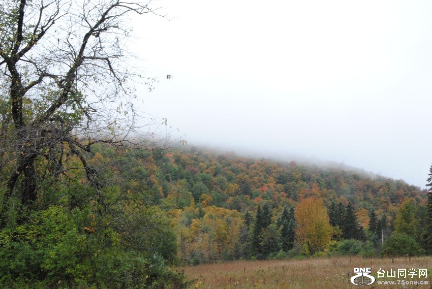 DSC_7842.JPG