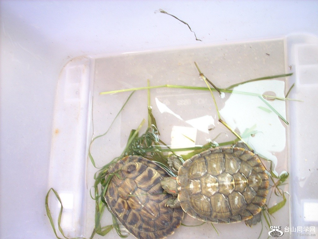 DSCN3919.JPG