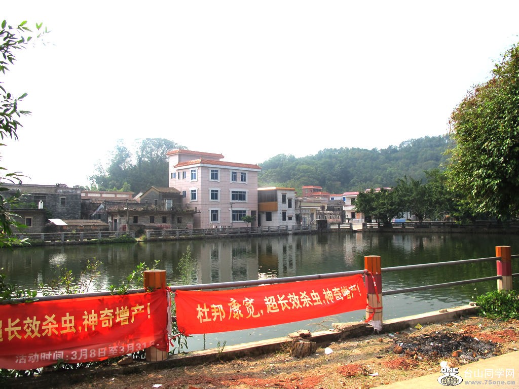 186.jpg