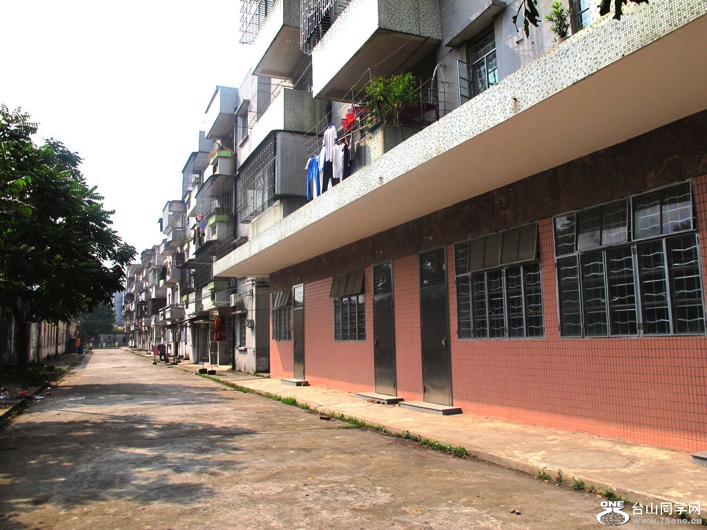 177.jpg