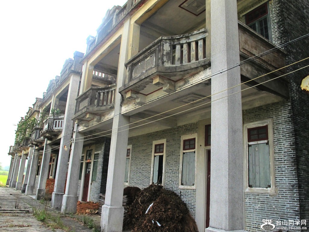334.jpg