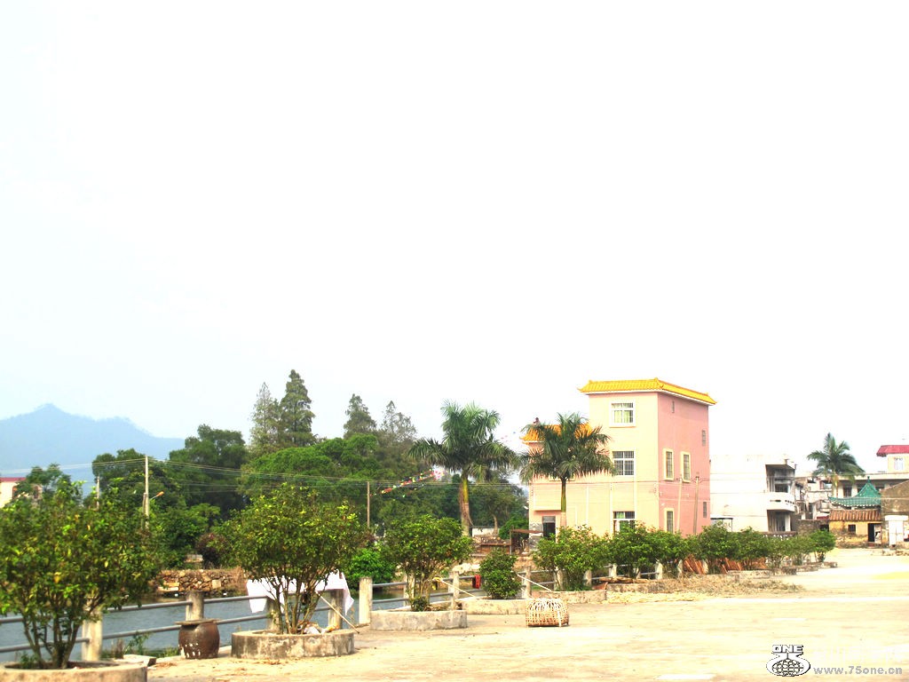 357.jpg