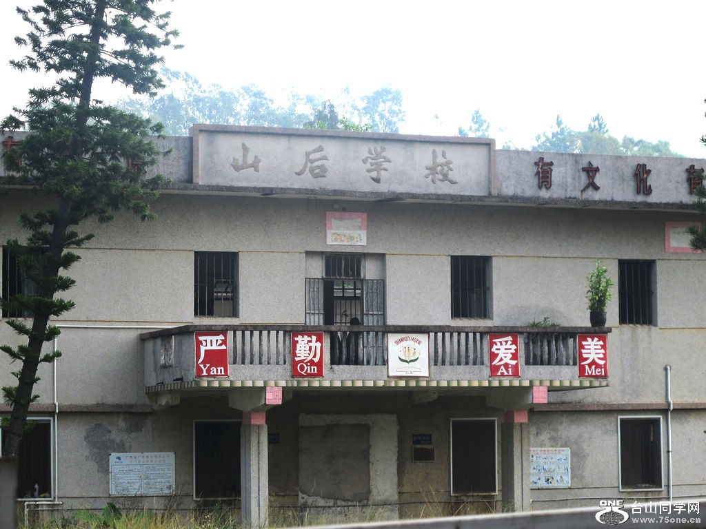363.jpg