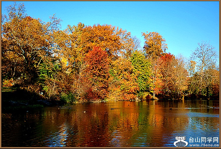 DSC_0346.JPG