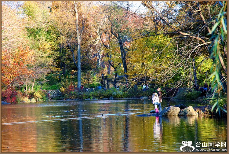DSC_0344.JPG