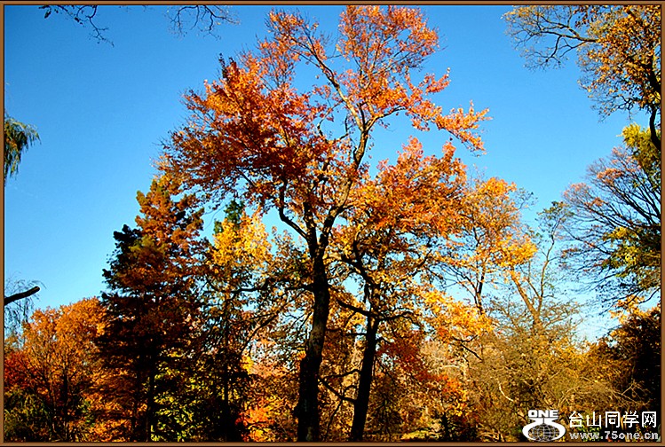 DSC_0411.JPG