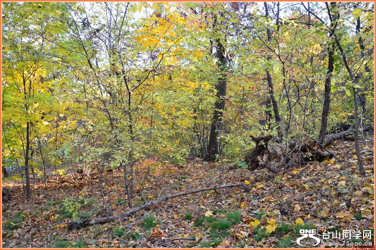DSC_2153.JPG