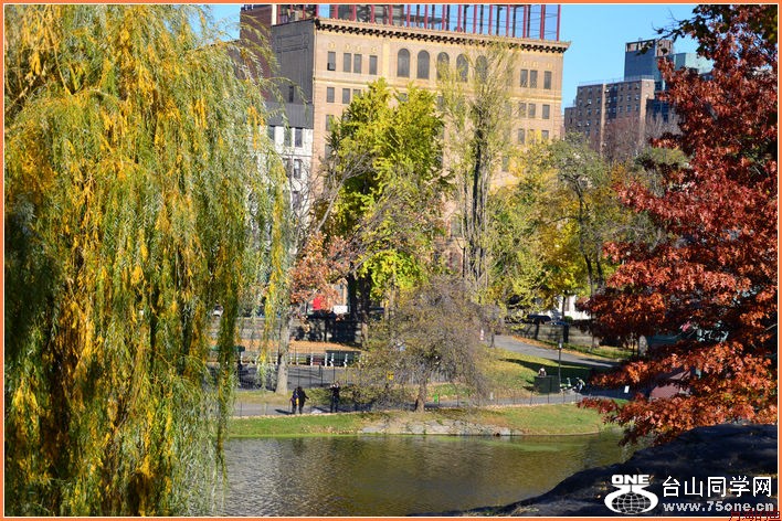 DSC_2116.JPG