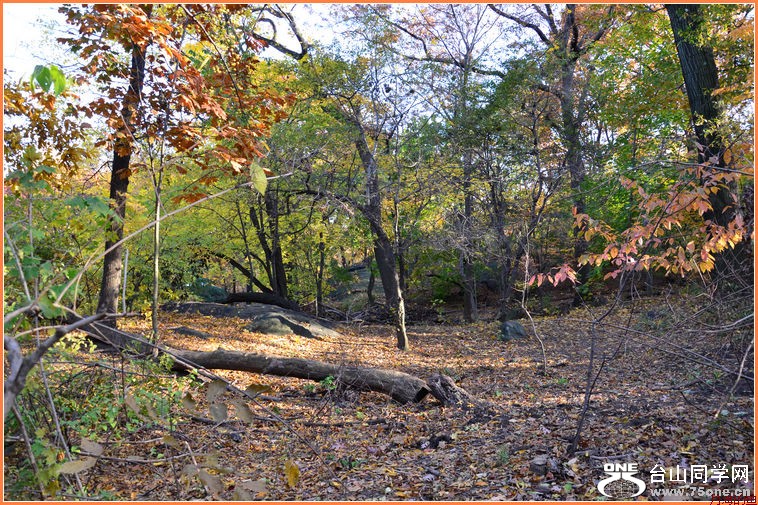 DSC_2154.JPG