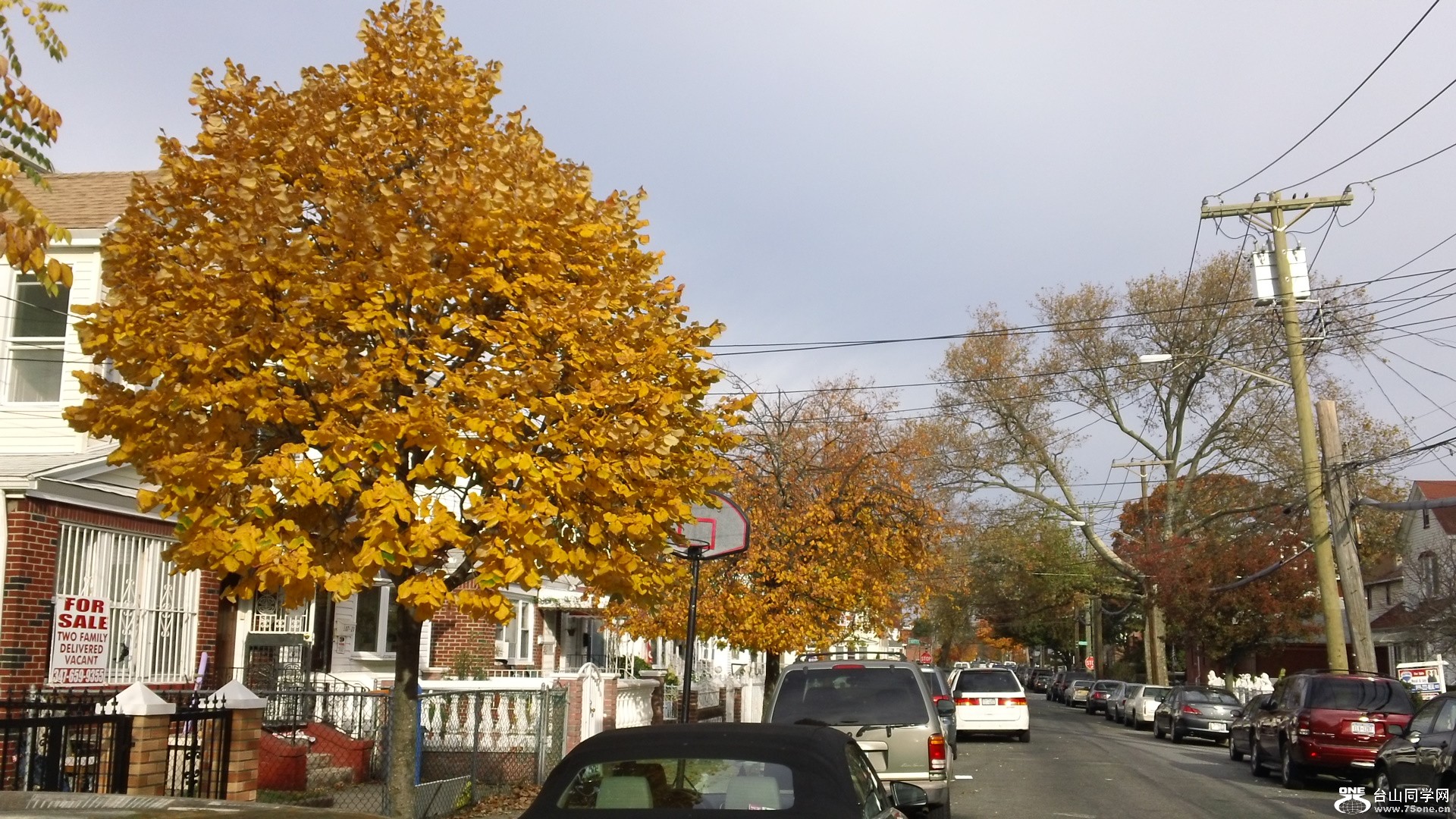 Ƭ 006.jpg