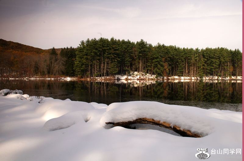 DSC_7132.jpg