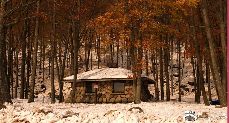DSC_7107.jpg