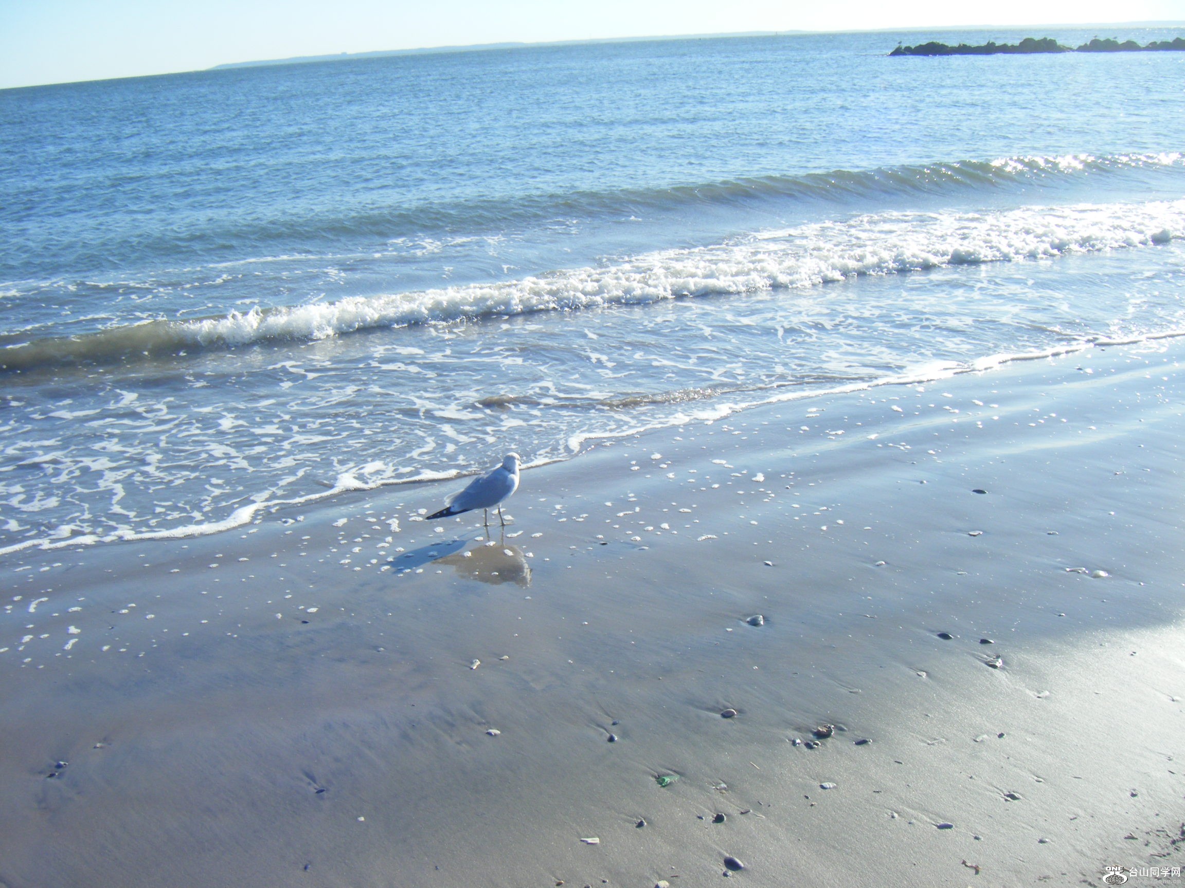 ~s(2011-10-11-26 1013.JPG