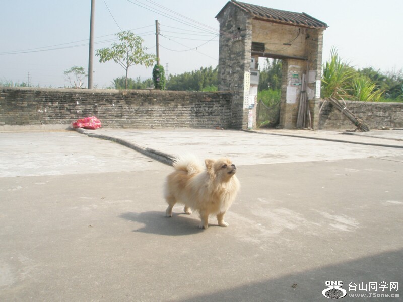 8.˵ĳȮҲƾˣһİ˿ְص档.jpg