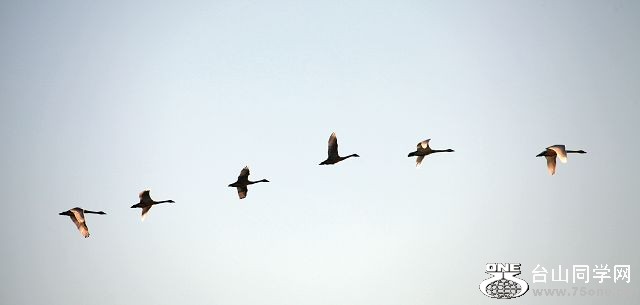 IMG_0084.JPG
