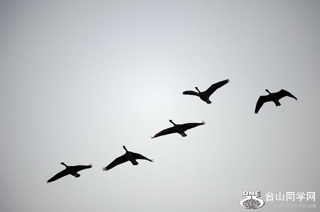 IMG_7564.jpg