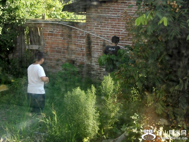 DSCN1202.JPG