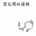 tu_sj[1].gif