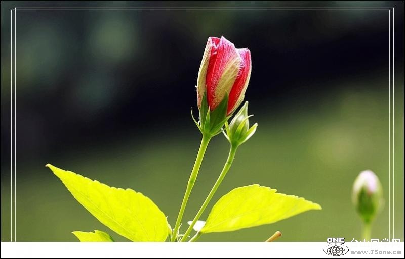 2_4592_1b4a8afc522ea32[1].jpg