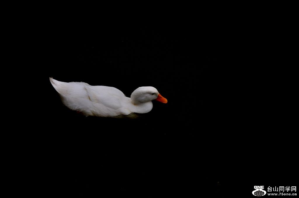 DSC_0183.JPG
