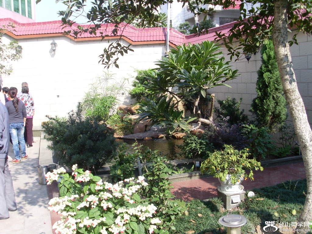 SL373571.JPG
