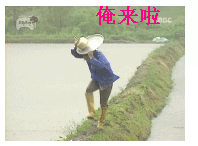 δ.gif