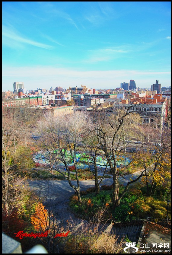 DSC_2813.JPG