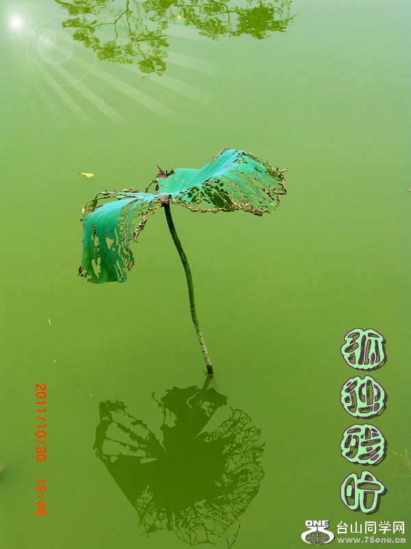 CIMG3589_.jpg