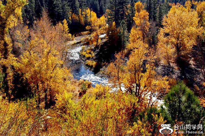 DSC_1913A.jpg