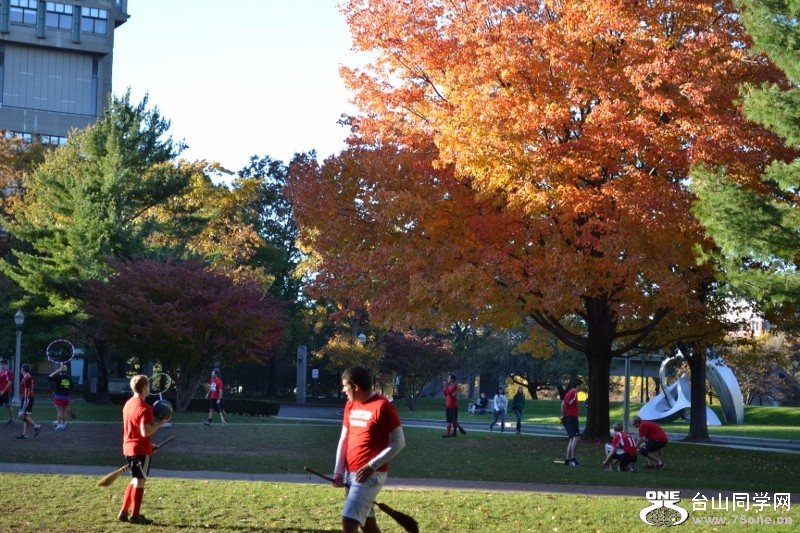 BU 2011-11-06 141 (800x533).jpg