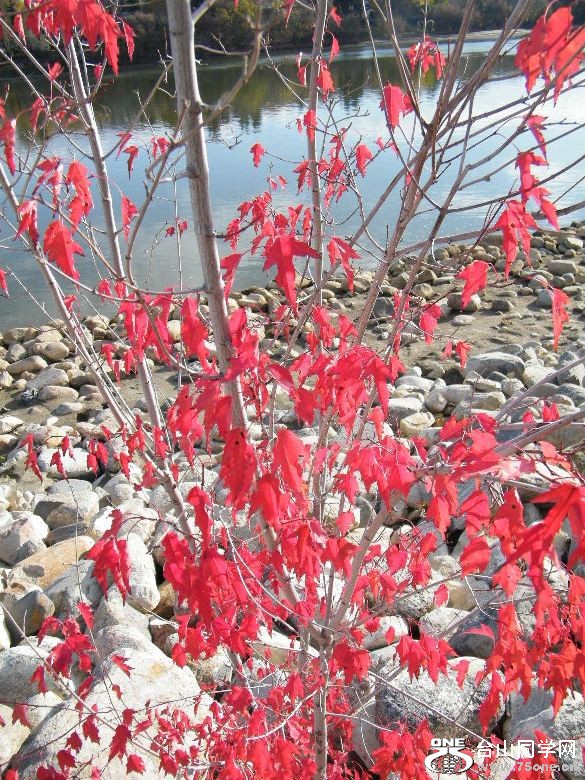 DSCF9214.JPG