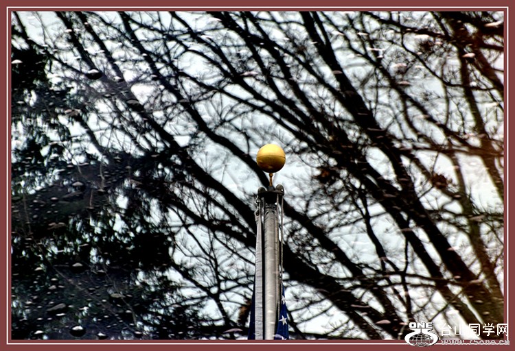 DSC_4596.JPG