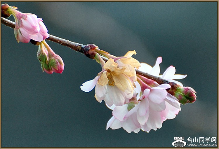 DSC_4470.JPG